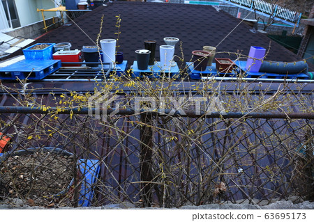 花園，花園，春天，新芽 63695173