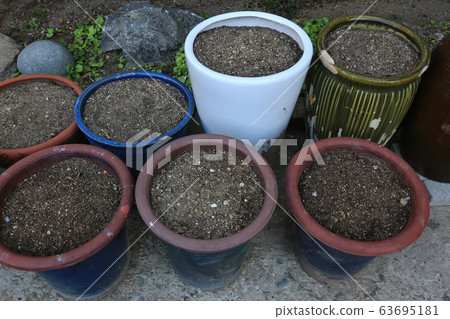 花園，花園，春天，新芽 63695181