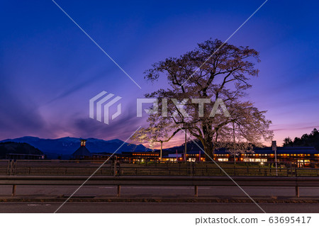 福島縣日本松市市路站足立櫻花 福島縣日本松市市路站足立櫻花 63695417