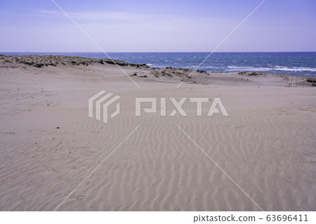 (Shizuoka Prefecture) Wind power windmill of Hamaoka sand dune 63696411