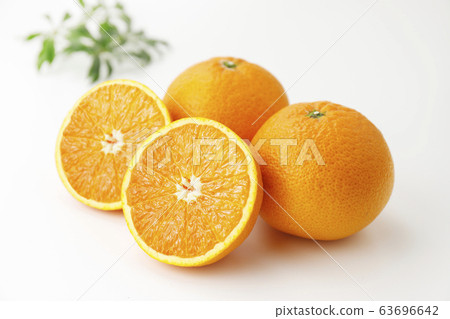 Kiyomi oranges 63696642