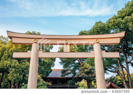 Meiji Jingu shrine Torii gate in Tokyo, Japan Meiji Jingu shrine Torii gate in Tokyo, Japan 63697595