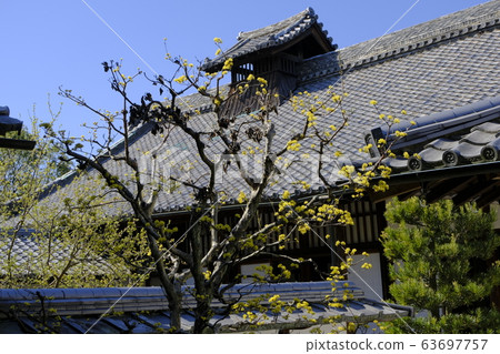 Zuishinin Kyoto Yamashina 63697757