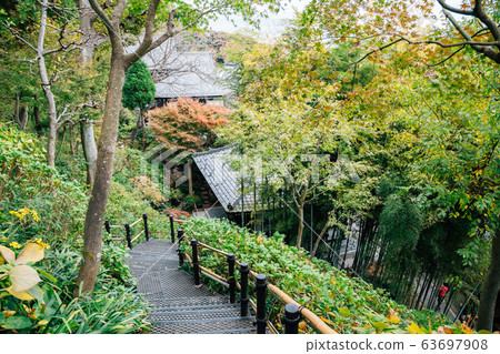 Hasedera temple nature garden view in Kamakura, Japan Hasedera temple nature garden view in Kamakura, Japan 63697908