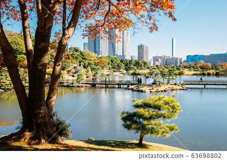 Hamarikyu Gardens pond and autumn maple in Tokyo, Japan Hamarikyu Gardens pond and autumn maple in Tokyo, Japan 63698802