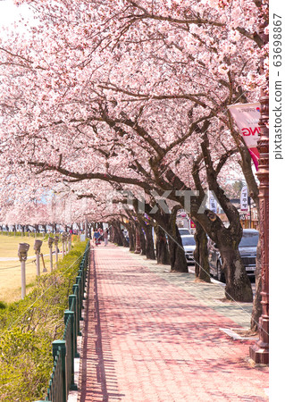 漂亮的種族街 漂亮的種族街 63698867