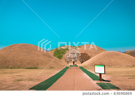 春天的大陵苑 63698869