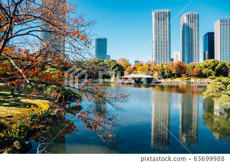 Hamarikyu Gardens, pond and modern buildings at autumn in Tokyo, Japan Hamarikyu Gardens, pond and modern buildings at autumn in Tokyo, Japan 63699988