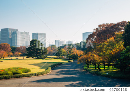 Imperial Palace East Gardens and modern buildings at autumn in Tokyo, Japan 63700118