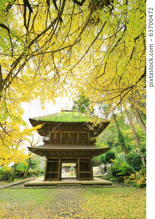 Gwangtaku Temple ~ Akiruno City Shining in Golden Gwangtaku Temple ~ Akiruno City Shining in Golden 63700472