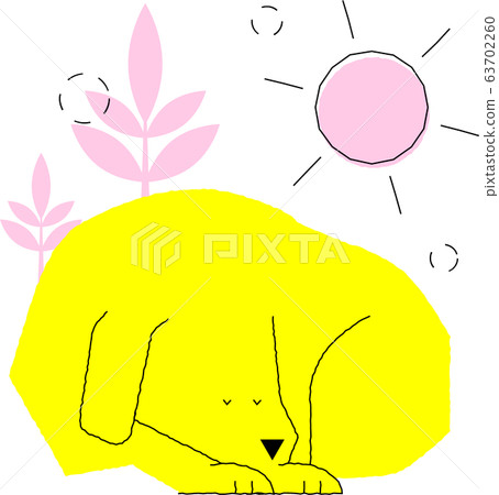 Sleeping dog 63702260