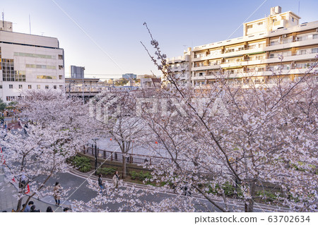 春天風景櫻花盛開在東京前市中目黑站 春天風景櫻花盛開在東京前市中目黑站 63702634