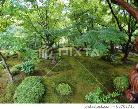 一個花園 一個花園 63702733