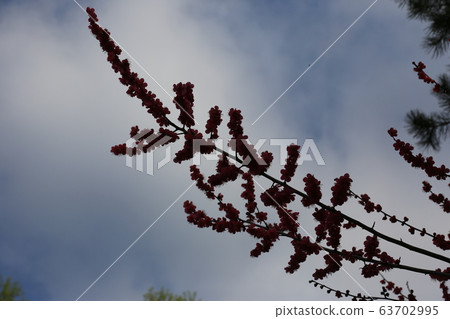 National Park, North Hansan, and Trails 63702995