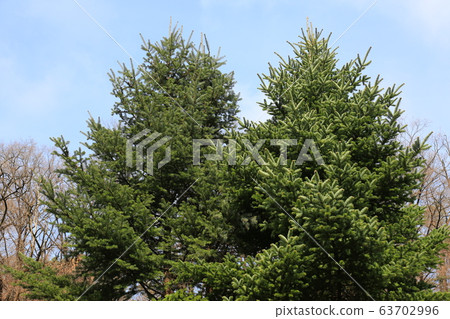 National Park, North Hansan, and Trails 63702996