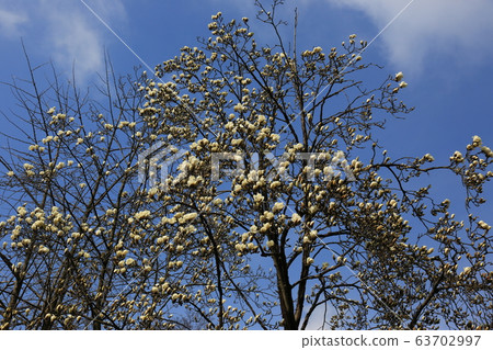 National Park, North Hansan, and Trails 63702997