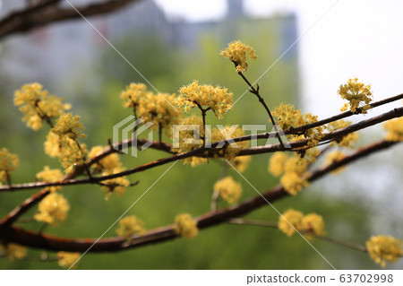 National Park, North Hansan, and Trails 63702998