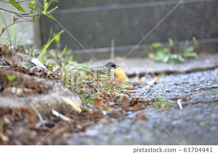 荒尾市四山神社青治 63704941