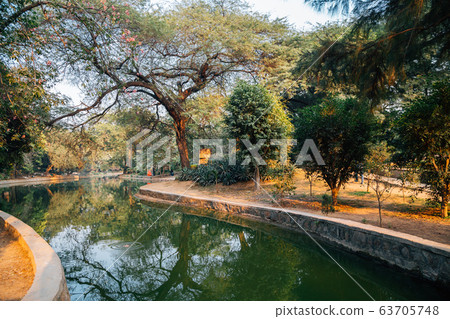 Lodhi Garden nature view in Delhi, India 63705748