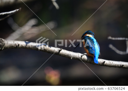 Kingfisher 9713 Kingfisher 9713 63706524