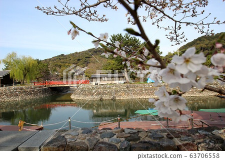 Uji Uji 63706558