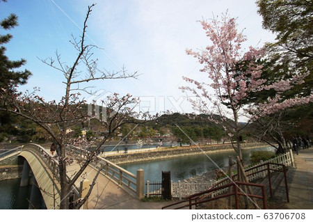 Uji Uji 63706708