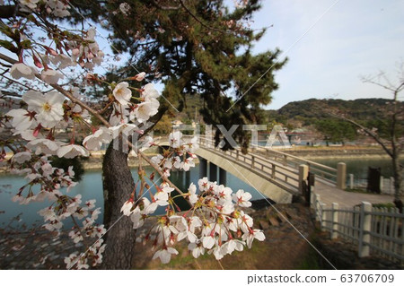 Uji Uji 63706709