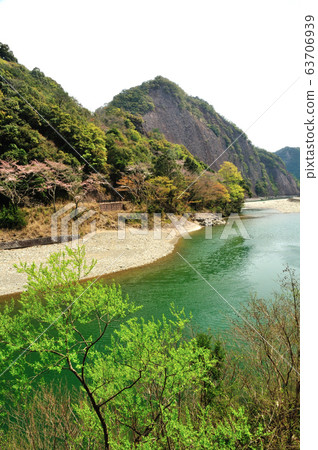 櫻花盛開在古扎河的巨石中 63706939