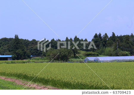 群馬縣大田市的武士塚 63709423