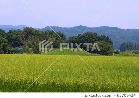 群馬縣大田市的武士塚 63709424