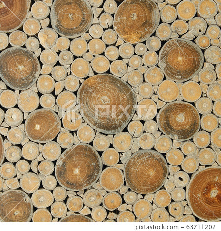 tree stumps background or texture 63711202