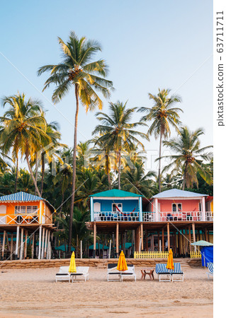 Tropical palm trees and bungalow in Palolem beach, Goa, India 63711711