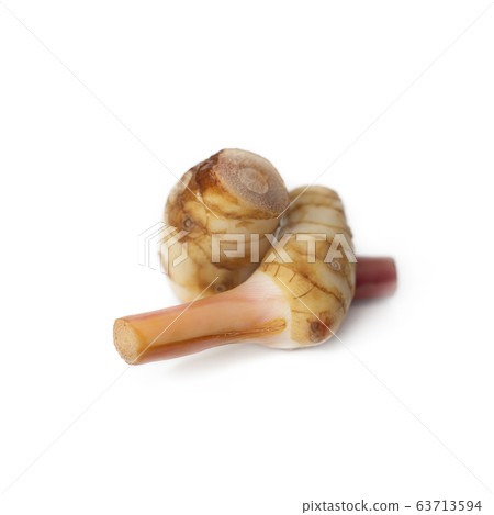 Ripe fresh galangal. Ripe fresh galangal. 63713594