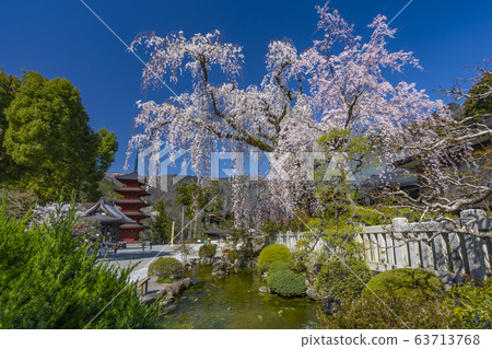 山梨縣 山梨縣 63713768