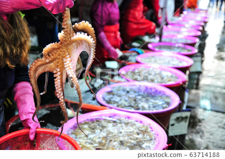 仁川廣域市代表性水產市場-浦江寶古傳統市場 63714188