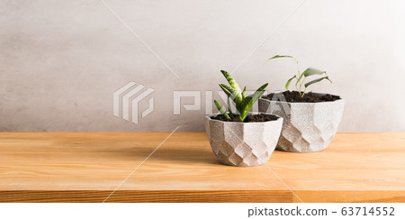Home gardening landscaping. Various green plants in decorative gray pots on a wooden table. Copy space banner. 63714552