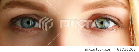 Letterbox view of pretty female grey green coloured amazing eyes Letterbox view of pretty female grey green coloured amazing eyes 63716203