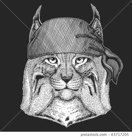 Lynx, bobcat, trot portrait. Bandana. Biker, pirate. Head of wild cat. Animal face. Lynx, bobcat, trot portrait. Bandana. Biker, pirate. Head of wild cat. Animal face. 63717205