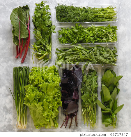 Fresh greens basil,coriander,lettuce,purple basil,mountain coriander,dill,green onion in plastic boxes on grey concrete background,copy space,top view 63717847