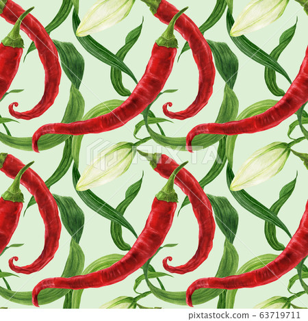 Red chili and lily bud watercolor seamless pattern Red chili and lily bud watercolor seamless pattern 63719711