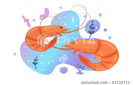 Two cute shrimp in the sea. Brightly-coloured 63720711