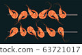 Grilled shrimp skewers. Tasty fresh cooked fried 63721017
