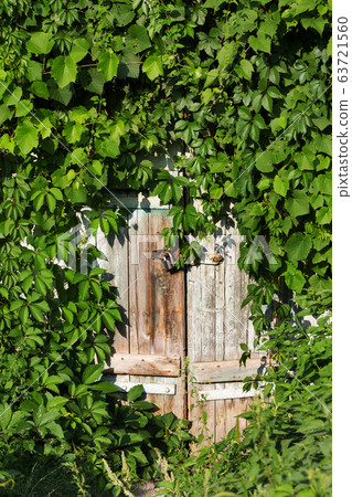 Old wooden door with vintage rusty metal lock and Old wooden door with vintage rusty metal lock and 63721560