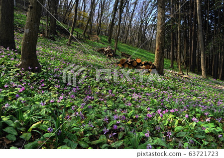 3月，佐藤29 Otakuri村，Katokuri no Sato的萬葉自然公園的故鄉 63721723