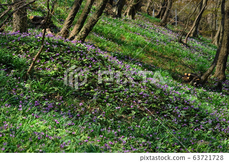 In March, the village of Sano, 25 Mt. 63721728