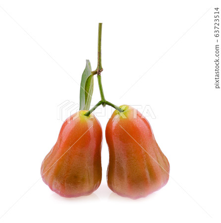 Rose apple on white background 63723514
