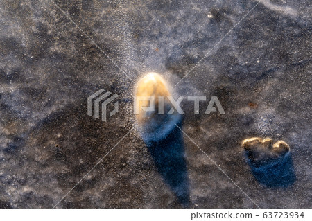 Frozen ground Frozen ground 63723934