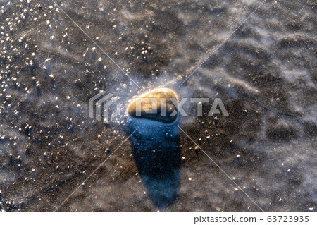 Frozen ground Frozen ground 63723935