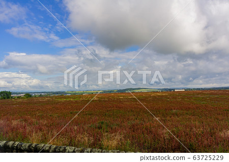 Rural landscape near Edinburgh Rural landscape near Edinburgh 63725229