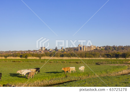 Exterior view of The Arundel Castle 63725278